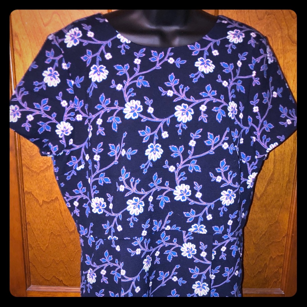 NWT LOFT dress- stunning! Bonus pockets! 💋